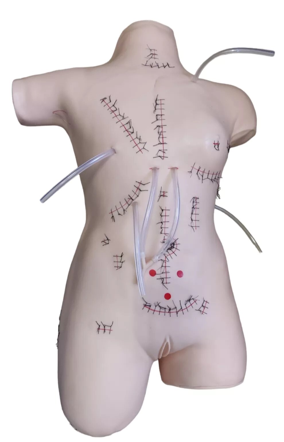 Манекен с различными послеоперационными швами, стомами, LV18 от компании ООО «ПРОФМЕДТОРГ» - фото 1
