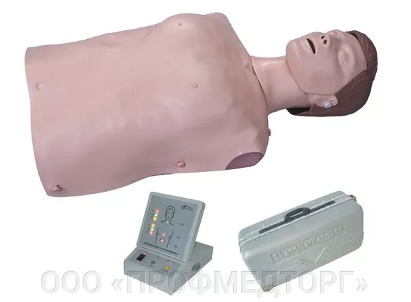 Манекен-торс для обучения СЛР, CPR200S от компании ООО «ПРОФМЕДТОРГ» - фото 1