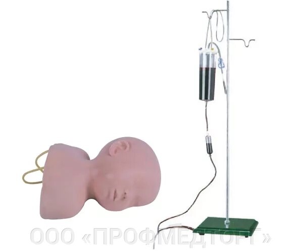 Модель головы младенца для венопункции G1 от компании ООО «ПРОФМЕДТОРГ» - фото 1