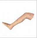 Модель (левая нога) для отработки хирургических навыков CS6203 / M от компании ООО «ПРОФМЕДТОРГ» - фото 1