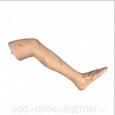 Модель (правая нога) для отработки хирургических навыков CS6204 / M от компании ООО «ПРОФМЕДТОРГ» - фото 1