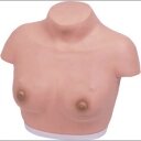 Модель женской грудной клетки, 14A от компании ООО «ПРОФМЕДТОРГ» - фото 1