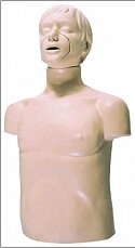 Тренажер - манекен пострадавшего (голова, торс) без контролера для отработки сердечно-легочной реанимации