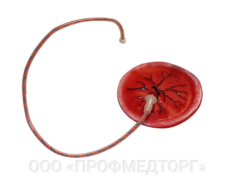 Плацента с пуповиной от компании ООО «ПРОФМЕДТОРГ» - фото 1