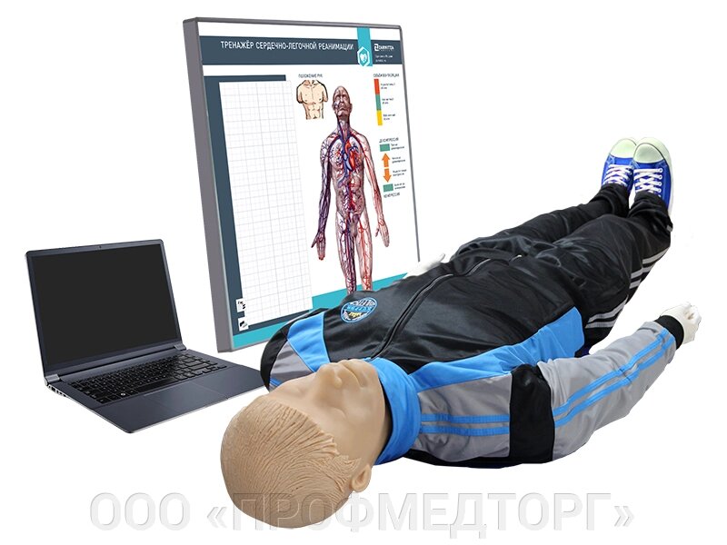Тренажер для обучения навыкам сердечно-легочной реанимации "Олег-1.02" с анатомическим табло от компании ООО «ПРОФМЕДТОРГ» - фото 1