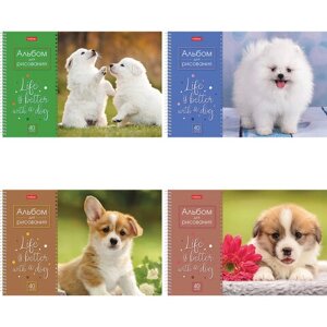 Альбом для рисования А4 40 л., спираль, обложка картон, HATBER, 205х290 мм, "Doggie-Щенки" (4 вида), 067478, 40А4Всп