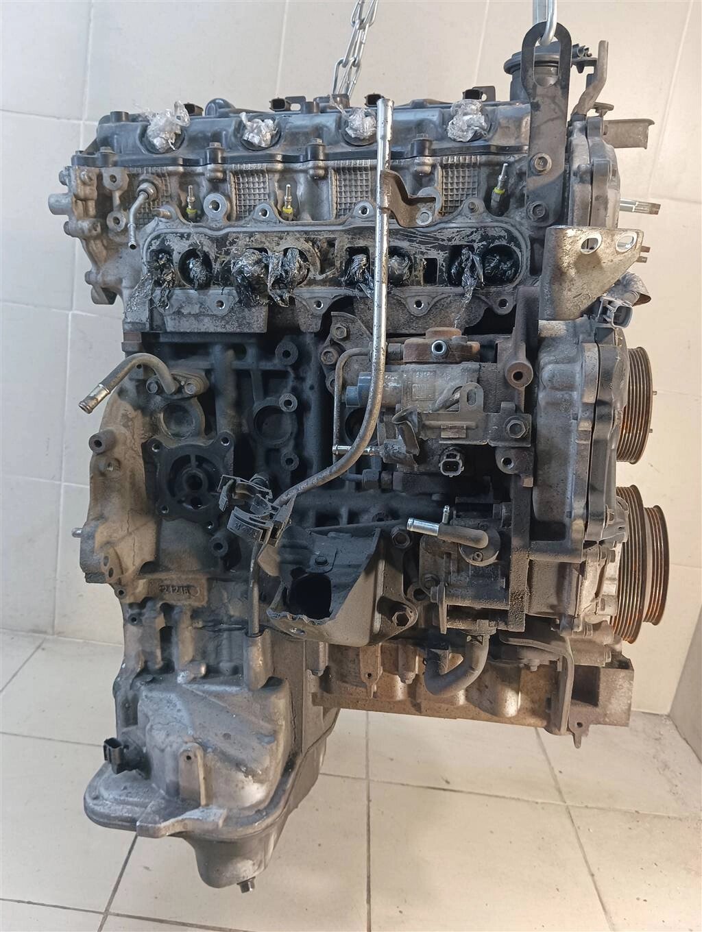 Двигатель Nissan 2.5 YD25DDTI для Nissan Navara D40 101025X00A от компании Авторазбор Моторист-НН - фото 1