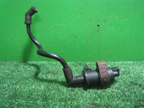 Кеңседегі сексуалды хатшы