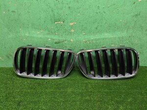 Решетка радиатора (комплект 2 шт) для BMW X3 (E83) 51113420087