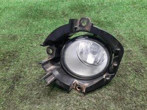 ПТФ передняя левая для Toyota RAV4 A30 812200D041