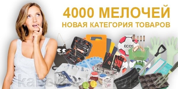 4000 Мелочей новая категория товаров - фото pic_3b2525adf8d6e39a46a1394c153d4c28_1920x9000_1.jpg