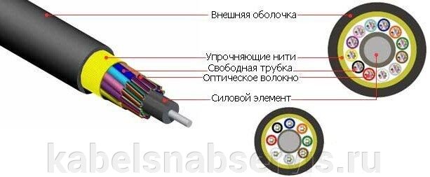 pic_d2bb1a90ba31461_700x3000_1.jpg