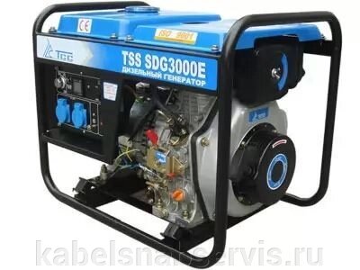 Дизельный генератор TSS SDG 3000E - обзор