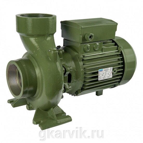 Наcосный агрегат моноблочный резьбовой SAER BP 10NB 400V от компании ООО ПФК АРВИК - фото 1