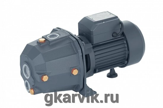 Поверхностный насос UNIPUMP DP 750 с внешним эжектором от компании ООО ПФК АРВИК - фото 1