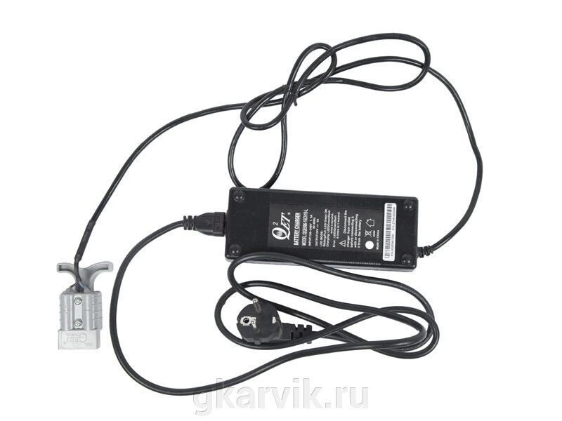 Зарядное устройство для штабелёров CDD10R-E/CDD12R-E 24V/25A Li-ion (Charger) от компании ООО ПФК АРВИК - фото 1