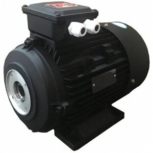 Электродвигатель (мотор) TOR H112 HP 6.1 4P MA AC KW4,4 4P для аппаратов высокого давления (14440)