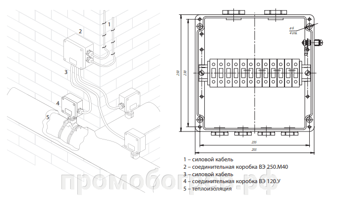 pic_ea50d4de79dc1d5aa1db39357d5817da_1920x9000_1.png