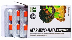 Гриб Чага + Гриб Агарикус с мумие в капсулах, 30 капс. /уп., Грибная серия, Алфит Плюс