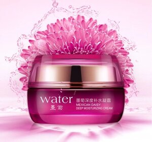 Увлажняющий крем для лица с экстрактом Хризантемы WATER, Bioaqua, 50г