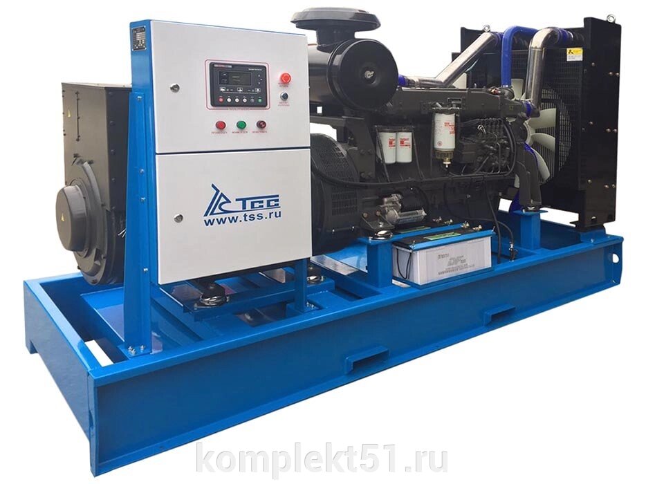 Дизельный генератор 300 кВт ТСС АД-300С-Т400-1РМ5 от компании Cпецкомплект - оборудование для автосервиса и шиномонтажа в Мурманске - фото 1