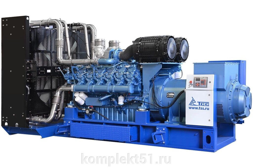Дизельный генератор ТСС АД-1000С-Т400-1РМ9 от компании Cпецкомплект - оборудование для автосервиса и шиномонтажа в Мурманске - фото 1