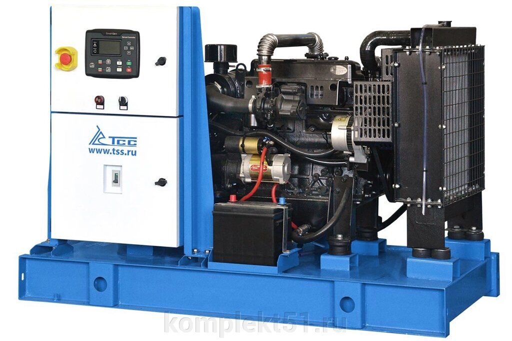 Дизельный генератор ТСС АД-12С-Т400-1РМ19 от компании Cпецкомплект - оборудование для автосервиса и шиномонтажа в Мурманске - фото 1