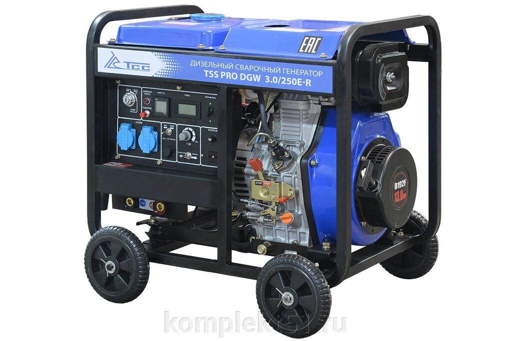 Дизельный сварочный генератор TSS PRO DGW 3.0/250E-R от компании Cпецкомплект - оборудование для автосервиса и шиномонтажа в Мурманске - фото 1