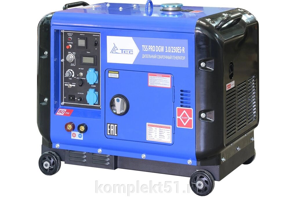Дизельный сварочный генератор в кожухе TSS PRO DGW 3.0/250ES-R от компании Cпецкомплект - оборудование для автосервиса и шиномонтажа в Мурманске - фото 1
