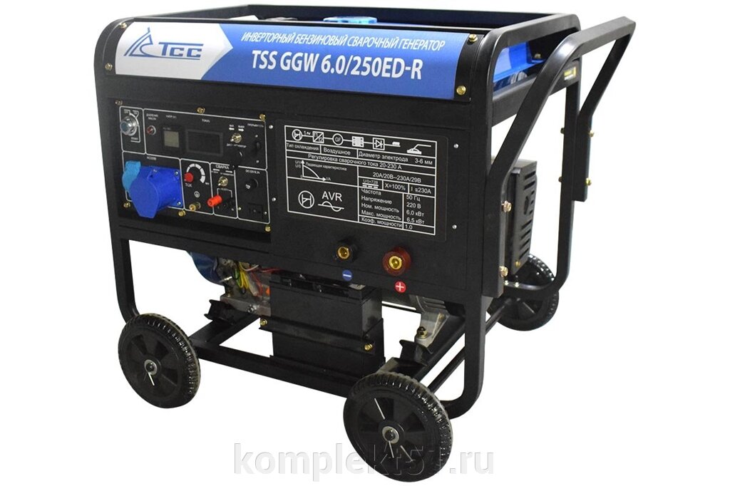 Инверторный бензиновый сварочный генератор TSS GGW 6.0/250ED-R от компании Cпецкомплект - оборудование для автосервиса и шиномонтажа в Мурманске - фото 1