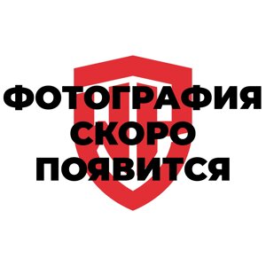 Молоток с круглым бойком и фиберглассовой рукояткой 450гр WP241029 WORKPRO в Санкт-Петербурге от компании Proffshina