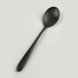 Ложка столовая, покрытие PVD, черный матовый цвет, серия "Alessi-Black" P. L.