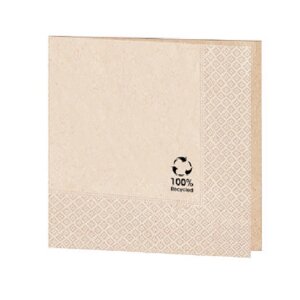 Салфетка бумажная ECO двухслойная, 20х20 см, 100 шт, Garcia de Pou Испания