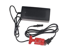 Зарядное устройство для тележек EPT 48V/2A (Charger 10301184) TOR