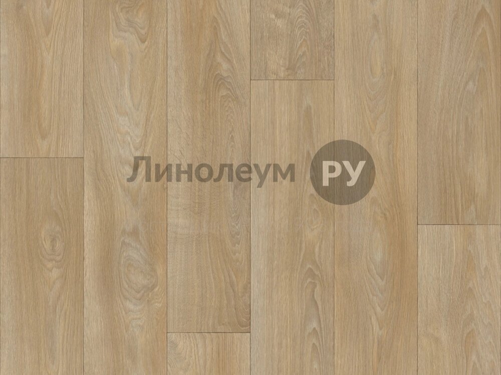 HISTORY 2 & Линолеум 2,5м SPRINT PRO (57,5 кв.м.)