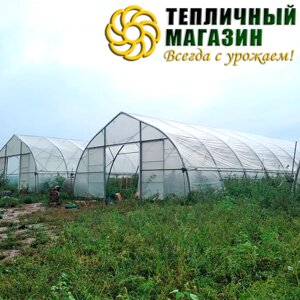 Фермерская теплица прямостенная 10*50 м. без термонаддува