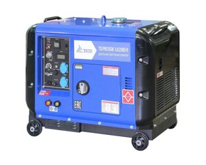 TSS DGW 6.0/250ES-R Дизельный сварочный генератор