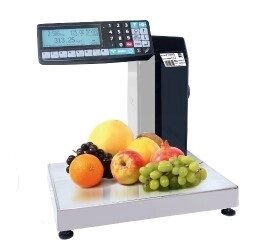 Печатающие весы-регистраторы МК-15.2-RL10-1 от компании АльПром - фото 1