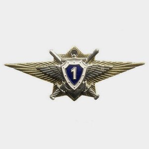Знак классности о/с ВС РФ 1 класс в Тюменской области от компании АПБ "Деозал"