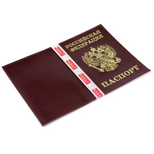 Обложка на паспорт с рисунком