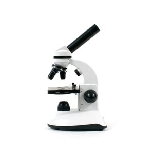 Микроскоп Дуалскоп (DUALSCOPE) (учебный, до 400х, 2 подсв.)