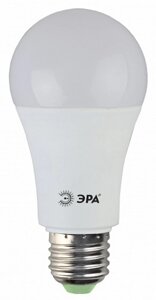 ЭРА LED smd A65-21W-860-E27 светодиодная лампа мат. днев. (1/10/100)