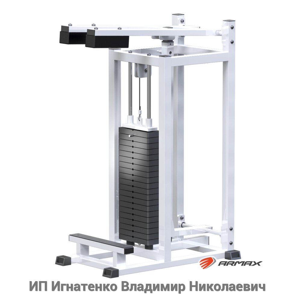 ARMS Голень-машина (стек 100кг) от компании ИП Игнатенко Владимир Николаевич - фото 1