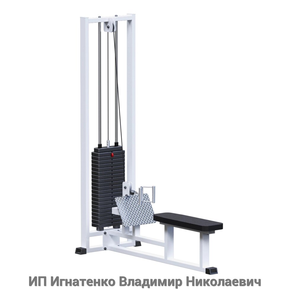 ARMS Горизонтальная тяга (стек 100кг) от компании ИП Игнатенко Владимир Николаевич - фото 1