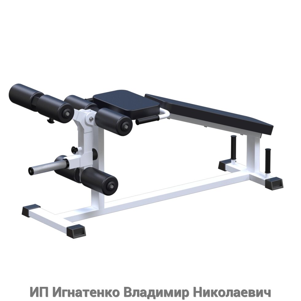 ARMS Сгибание и разгибание ног на свободных весах от компании ИП Игнатенко Владимир Николаевич - фото 1