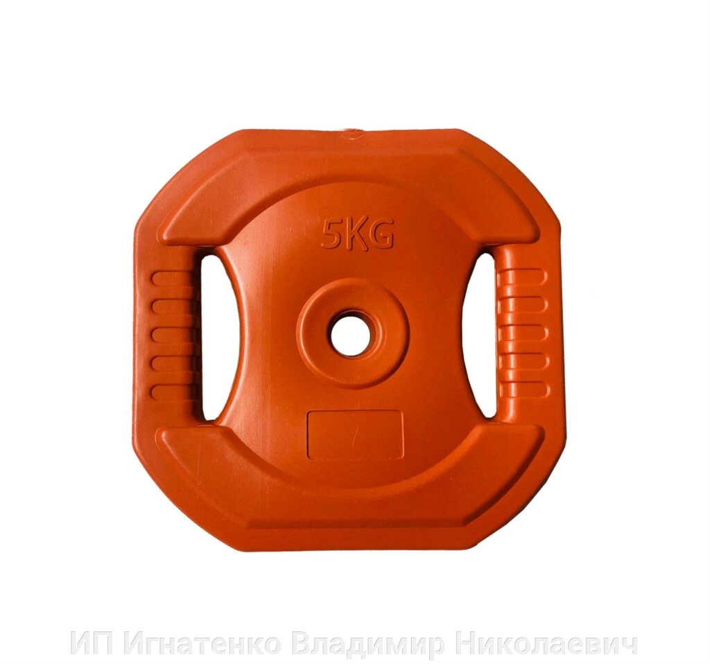 Диск пластиковый с хватом 26 мм. 5 кг. от компании ИП Игнатенко Владимир Николаевич - фото 1