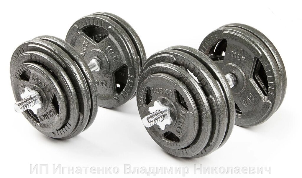 Набор гантелей с железной ручкой HAMMERTONE AS 2x29 кг от компании ИП Игнатенко Владимир Николаевич - фото 1