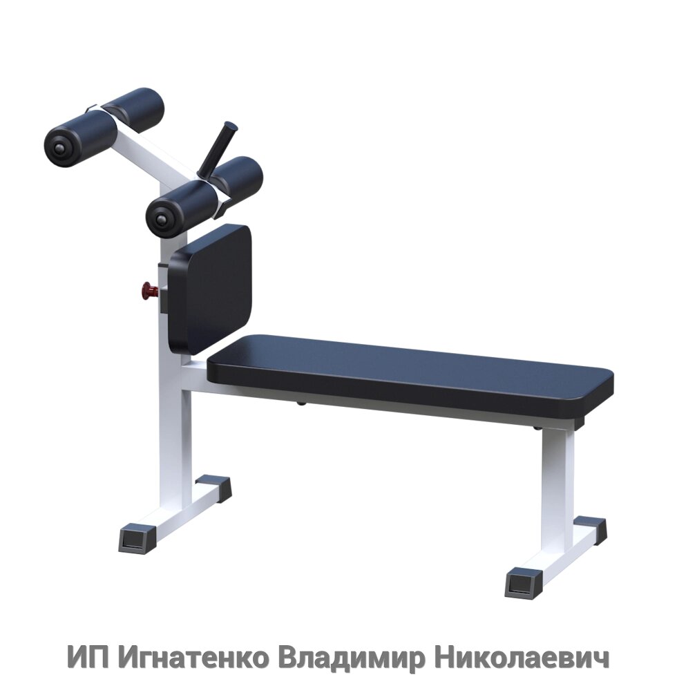 Римский стул для пресса и спины WS028 от компании ИП Игнатенко Владимир Николаевич - фото 1
