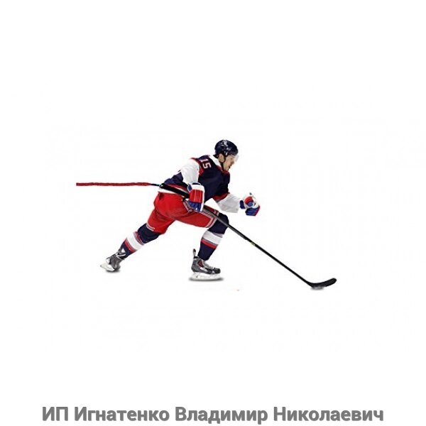 Система для тренировки хоккеистов Blast Skate ULTIMATE Sport от компании ИП Игнатенко Владимир Николаевич - фото 1