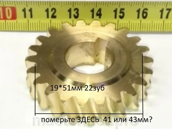 Шестерня бронзовая редуктора 19*51-43мм 22зуб. снегоуборщика 161011 010069(834)i от компании "Мастер Инструмент" магазин - фото 1